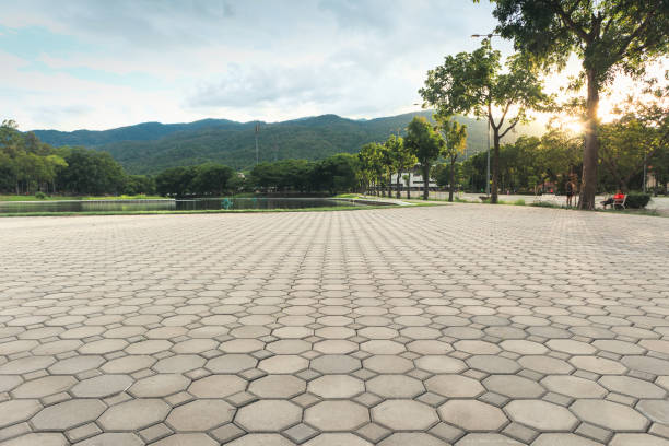 Best Residential Driveway Paver Services  in Hobbs, NM