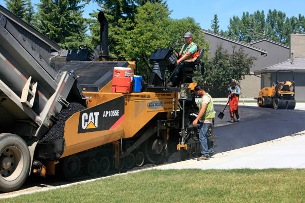 Best Custom Driveway Pavers  in Hobbs, NM